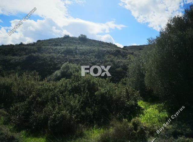 land for sale pachna limassol 8404023 image 14875721