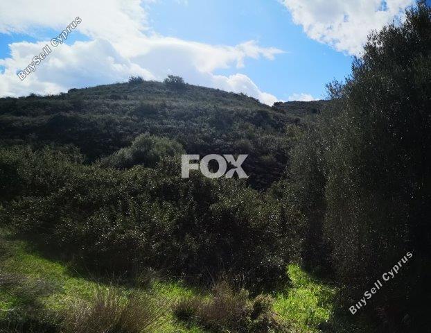 land for sale pachna limassol 8404023 image 14875722