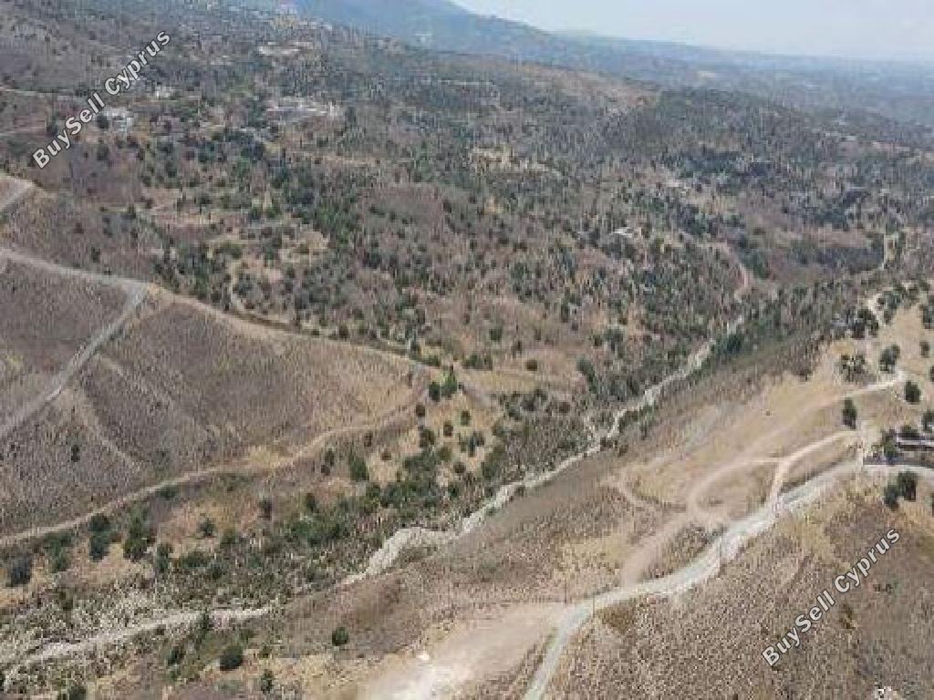 land for sale peyia paphos 823023 image 15598594