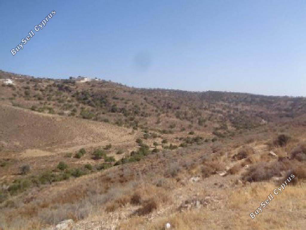 land for sale peyia paphos 823023 image 17364566
