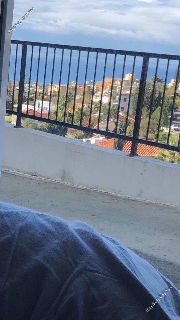 studio apartment for sale peyia paphos 8780023 image 16637564