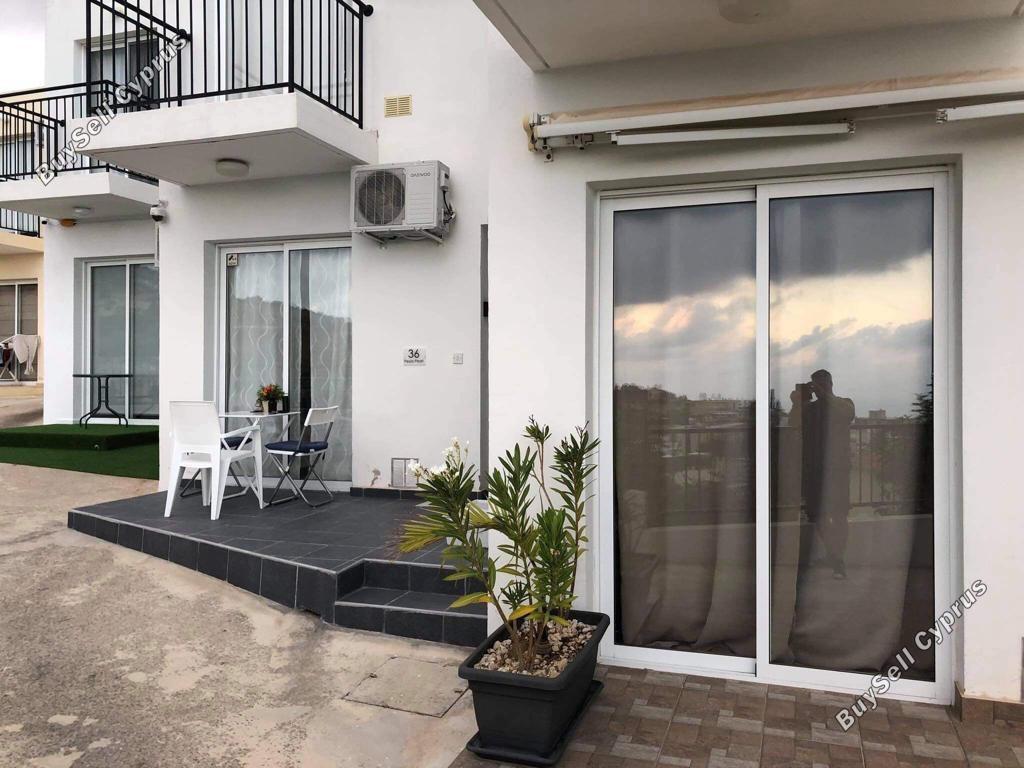 studio apartment for sale peyia paphos 8780023 image 16637578