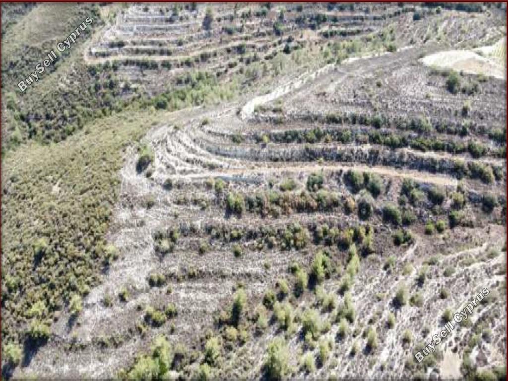 8027 SQM Land for sale in Agios Therapon, Limassol 15596809