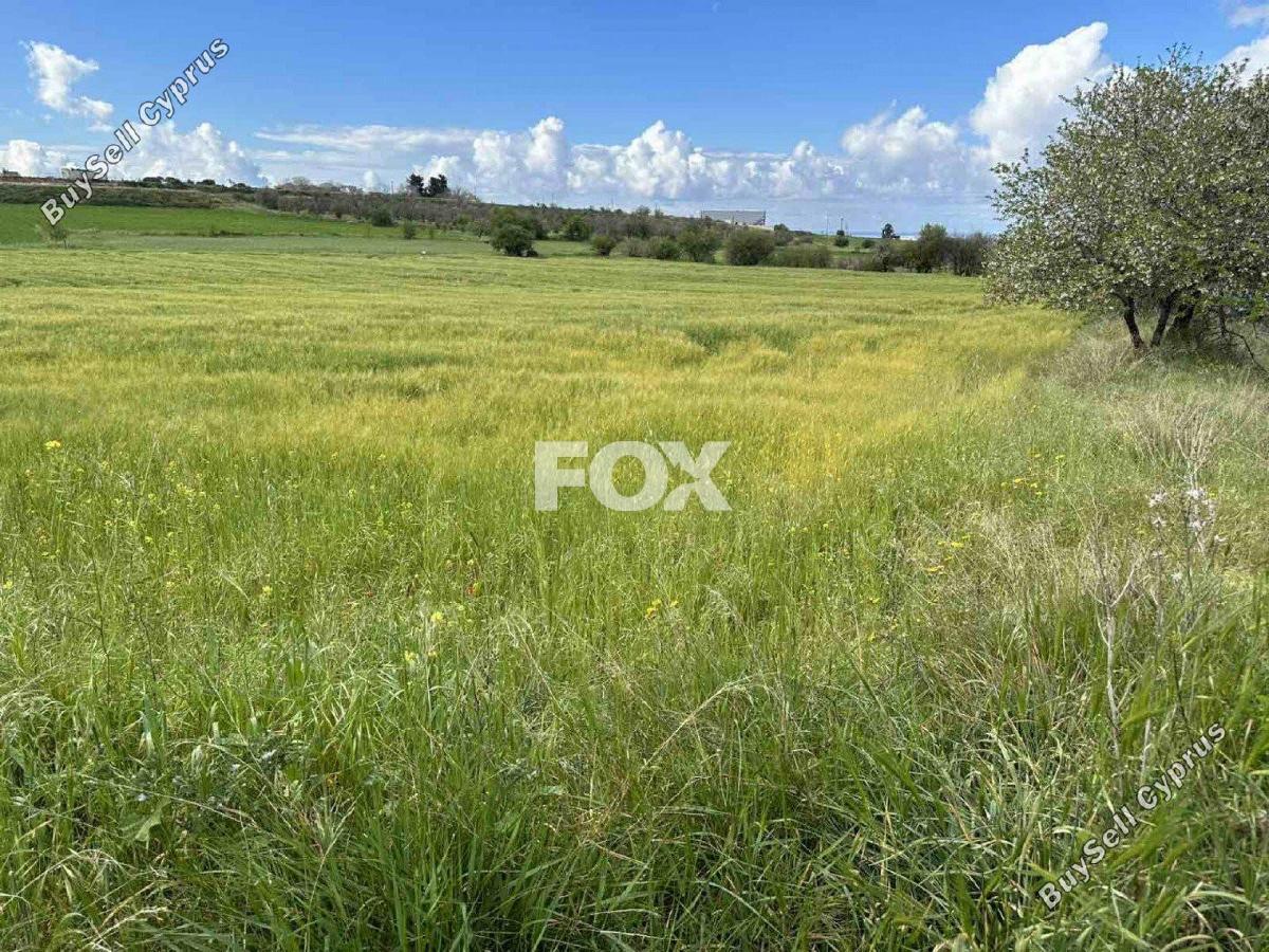 land for sale anarita paphos 1270123 image 5550291