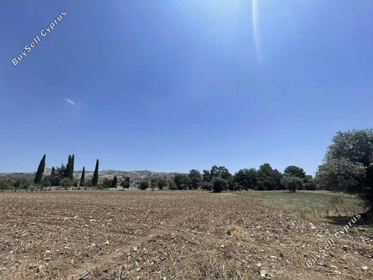land for sale psevdas larnaca 8716123 image 16294230