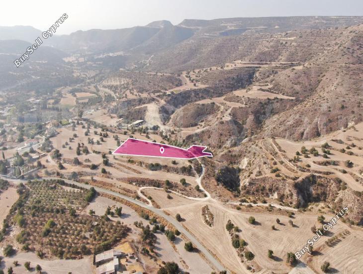 land for sale agios theodoros larnacas larnaca 7872223 image 15714405