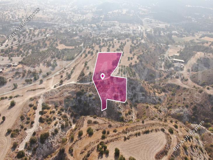 land for sale agios theodoros larnacas larnaca 7872223 image 15714406