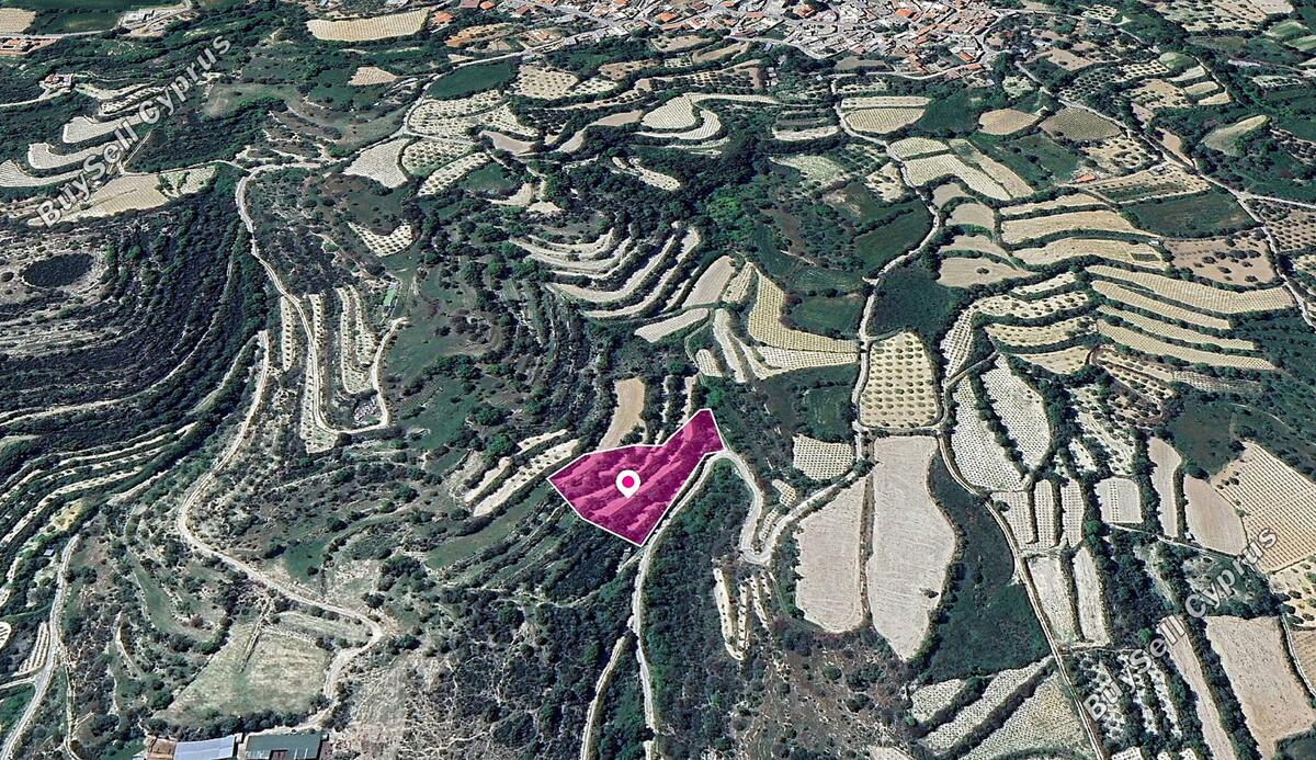 land for sale koili paphos 1342223 image 2492215