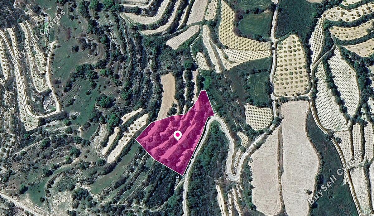 land for sale koili paphos 1342223 image 2492216