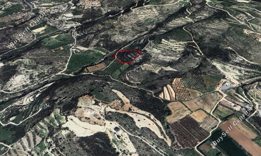 land for sale mesogi paphos 8437223 image 15019590