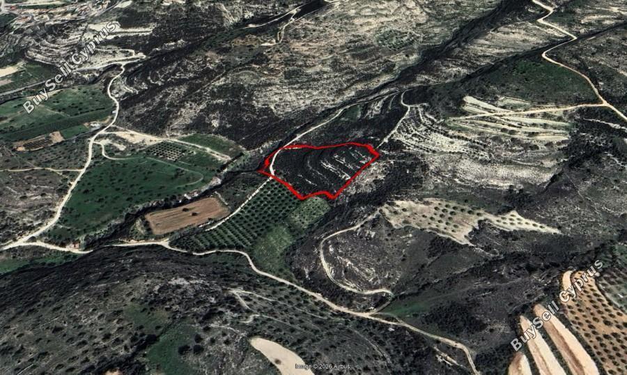 land for sale mesogi paphos 8437223 image 15019592