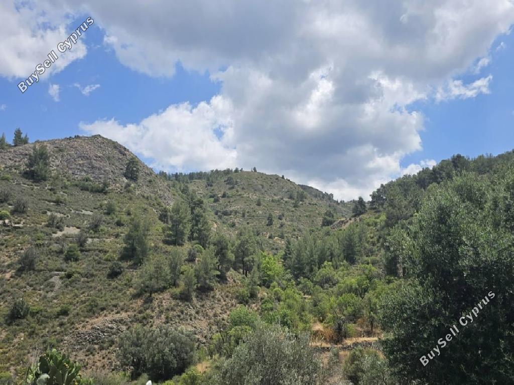 land for sale platanistasa nicosia 1785223 image 15597790