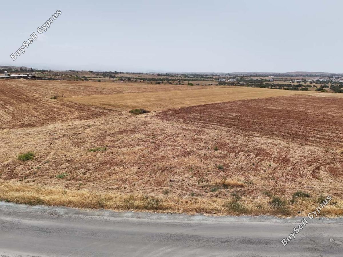 land for sale tseri nicosia 8716223 image 16295201