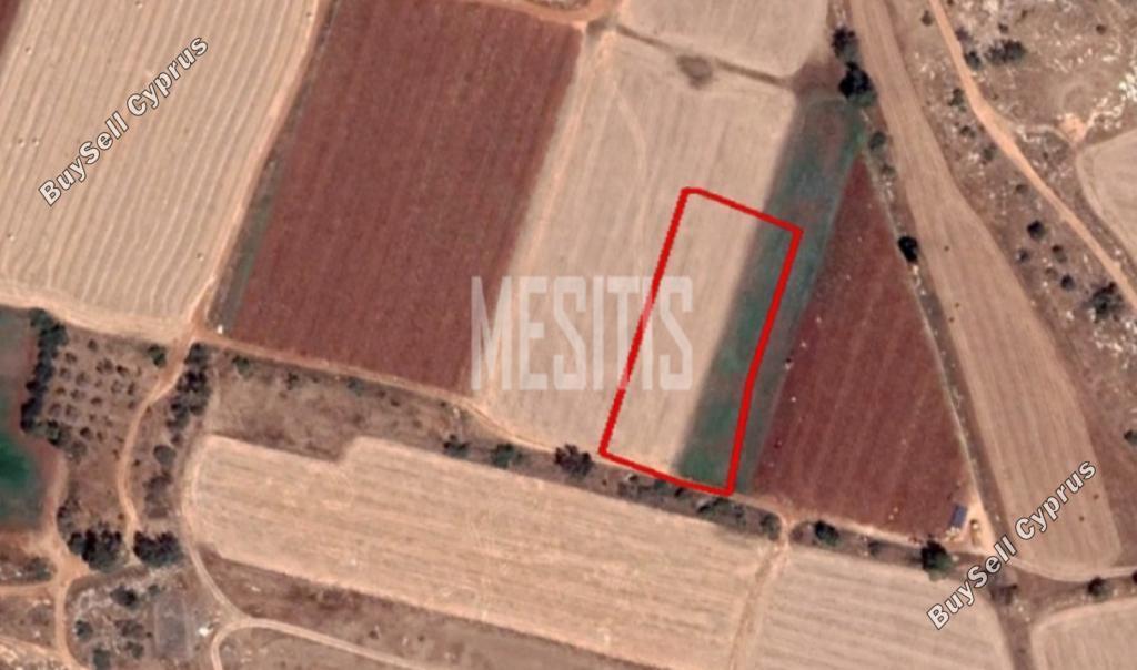 plot for sale liopetri famagusta 1822223 image 12889348