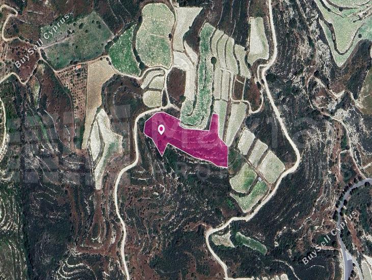 land for sale koilani limassol 7872323 image 14116162