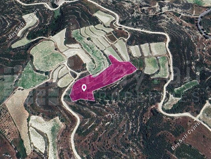 land for sale koilani limassol 7872323 image 14116171