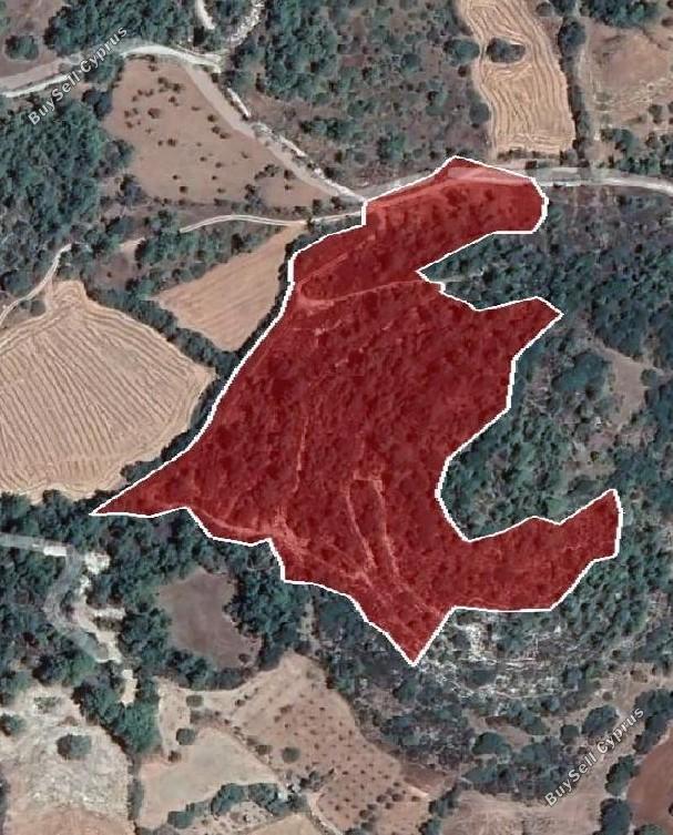 land for sale lysos paphos 1355323 image 5629814