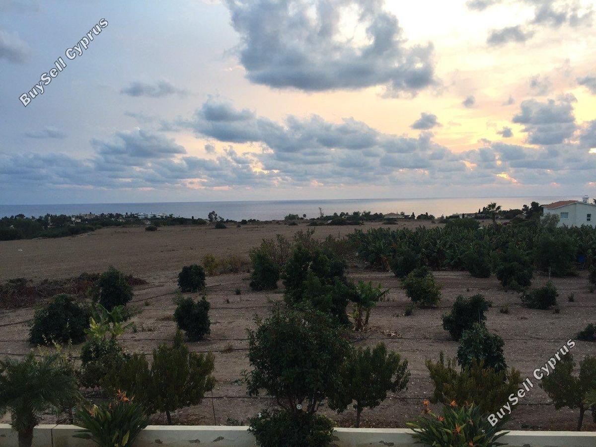7 bedroom detached house for sale coral bay paphos 1684423 image 4402722