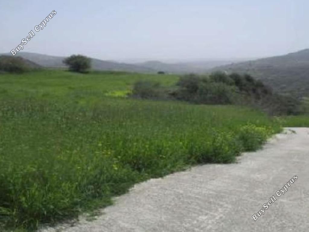 land for sale kato akourdalia paphos 1721423 image 15597189