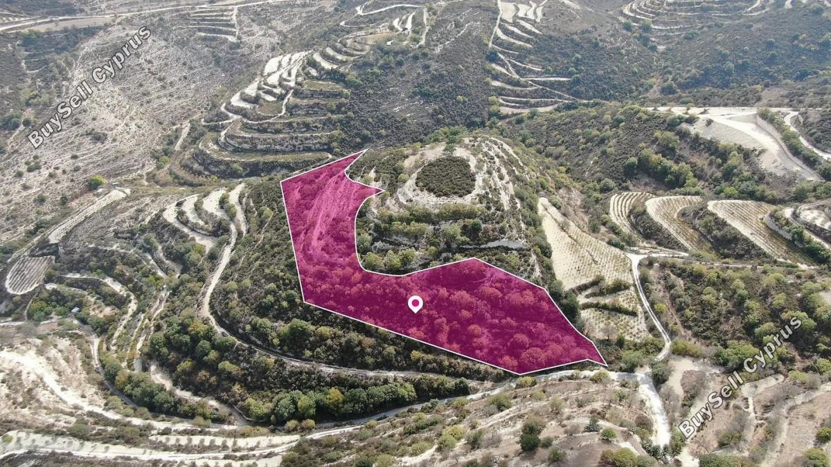 land for sale koili paphos 8434423 image 15010756