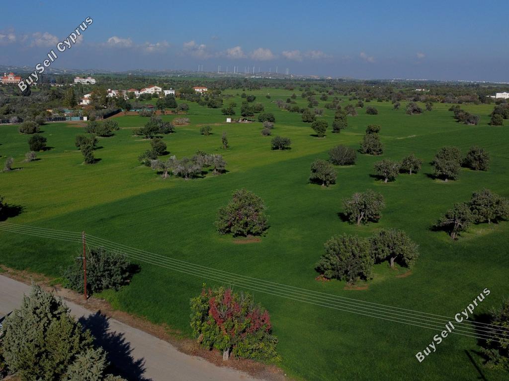 land for sale mazotos larnaca 826523 image 15601199