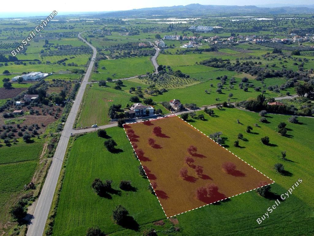 land for sale mazotos larnaca 826523 image 15601200
