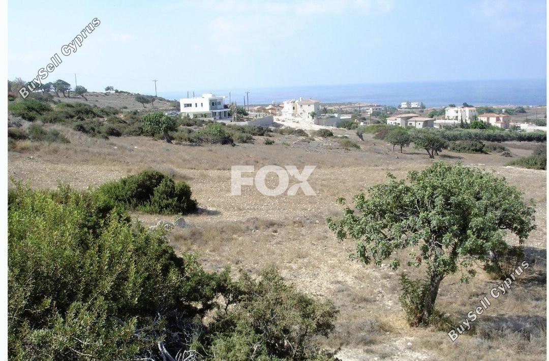land for sale peyia paphos 1464523 image 10036742