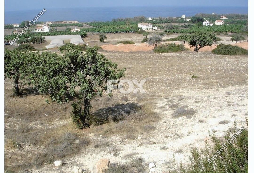 land for sale peyia paphos 1464523 image 10036743
