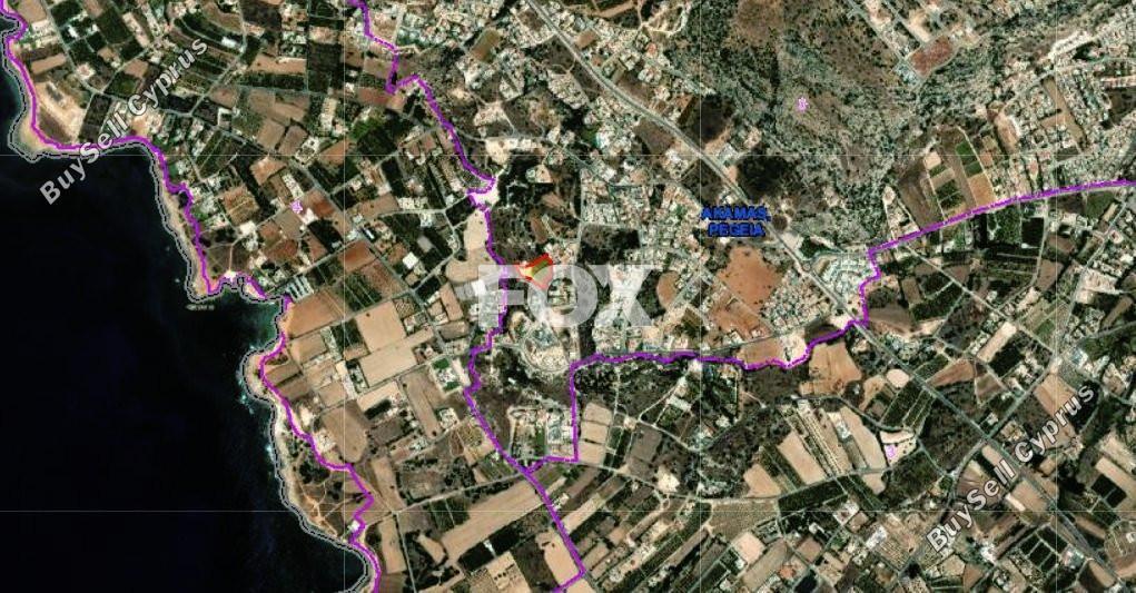land for sale peyia paphos 1464523 image 10036750