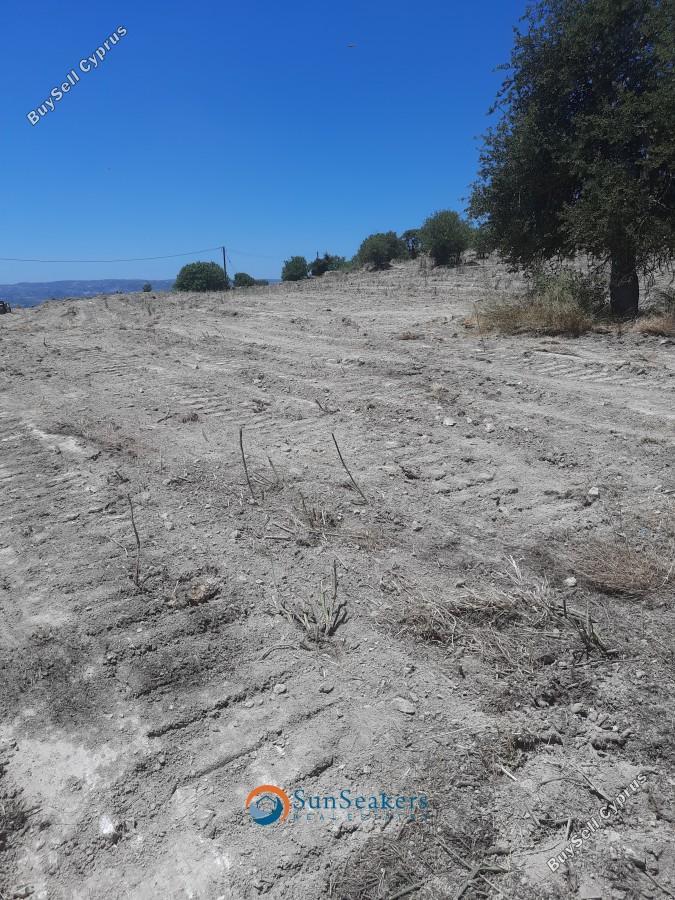 land for sale agios dimitrianos paphos 8529623 image 15456284