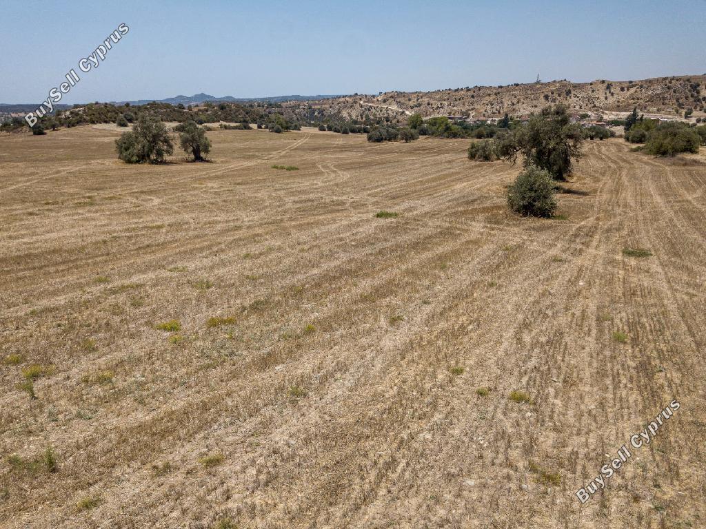 land for sale anglisides larnaca 1145623 image 15603072