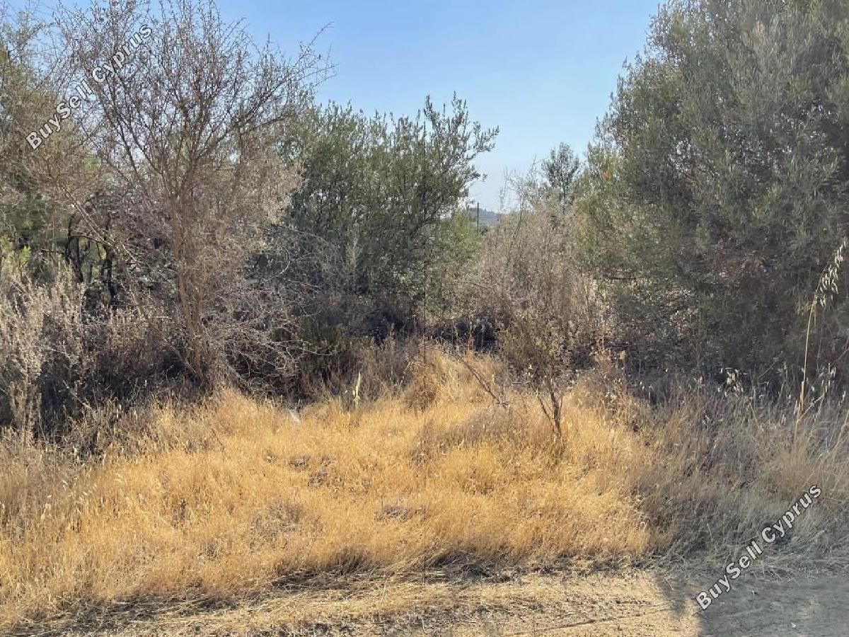 land for sale kaimakli nicosia 8726723 image 16333533