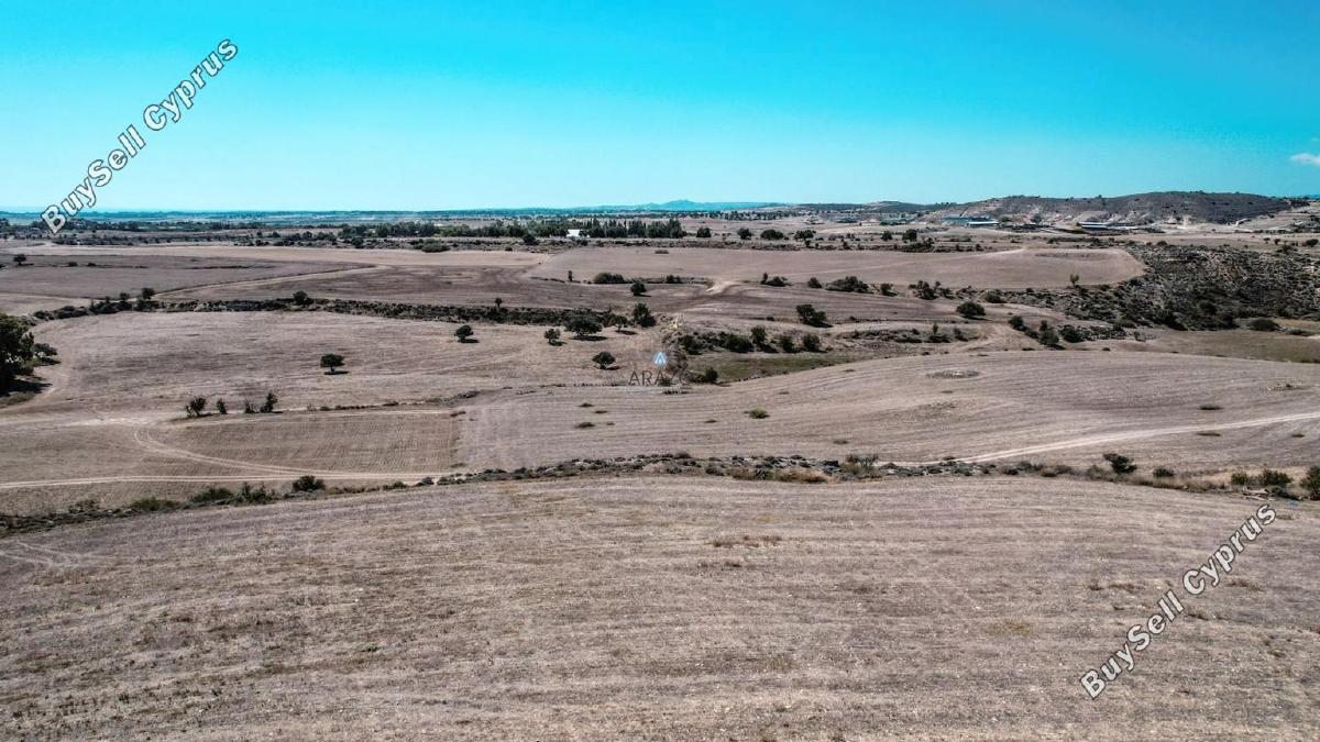land for sale tersefanou larnaca 1554723 image 5657646
