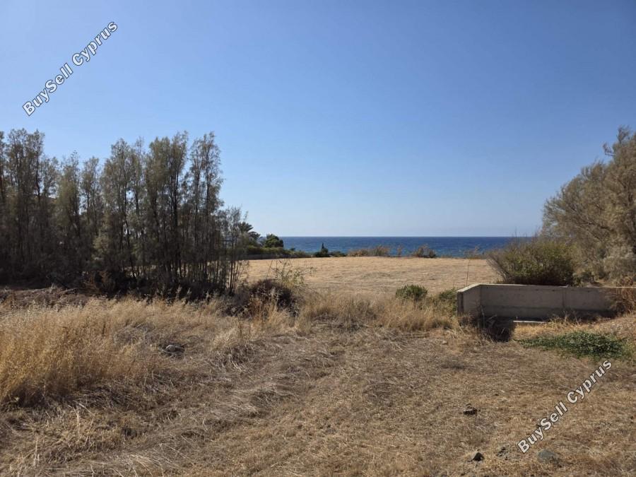 4 bedroom detached house for sale pomos paphos 1354823 image 7578297
