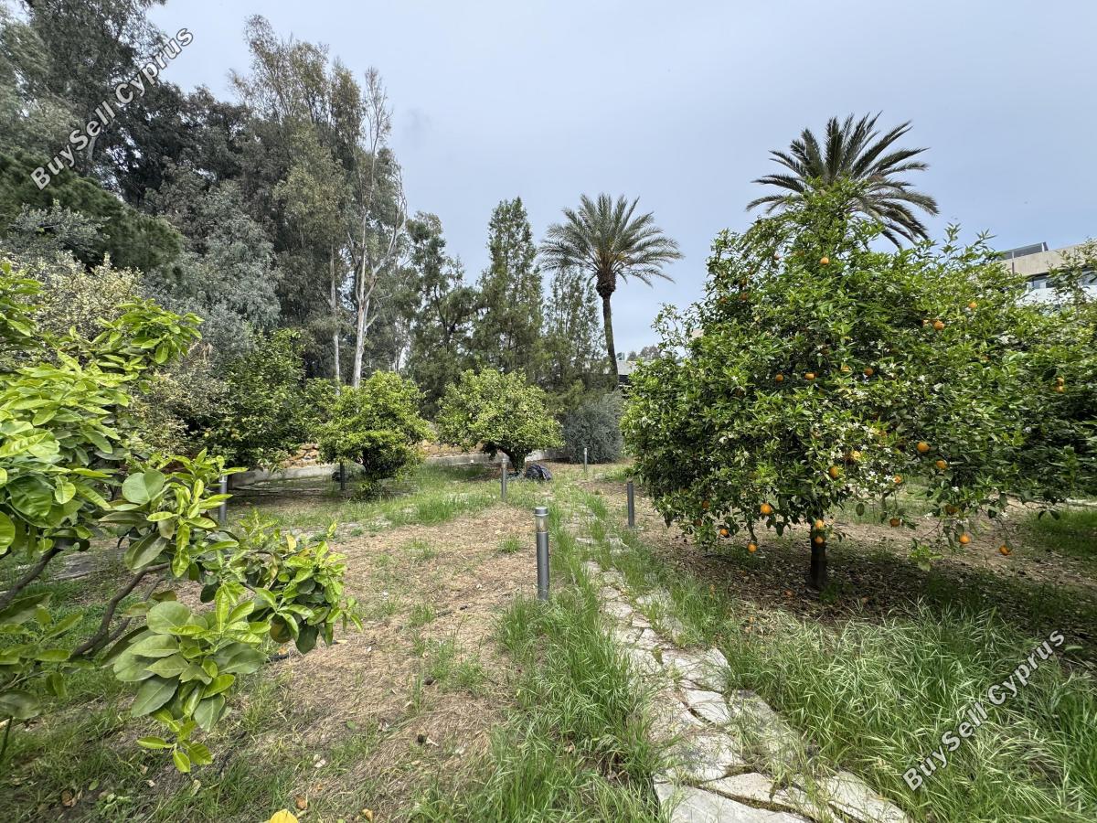 5 bedroom detached house for rent agios andreas nicosia nicosia 8597823 image 16793588