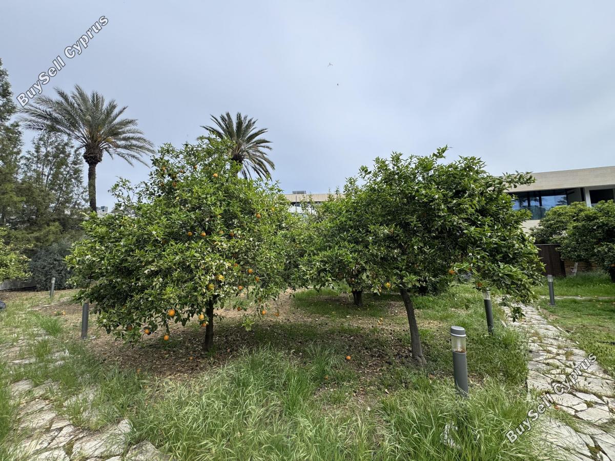 5 bedroom detached house for rent agios andreas nicosia nicosia 8597823 image 16793611