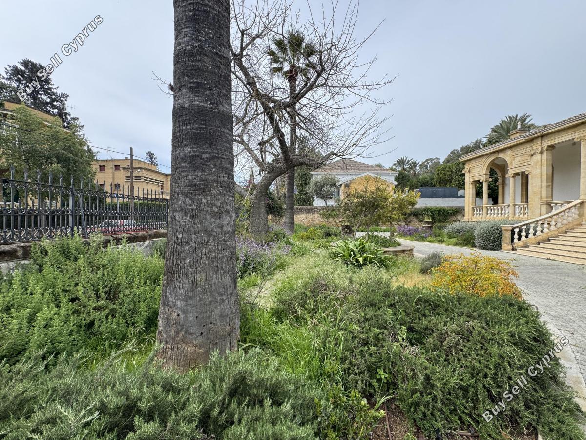 5 bedroom detached house for rent agios andreas nicosia nicosia 8597823 image 16793619