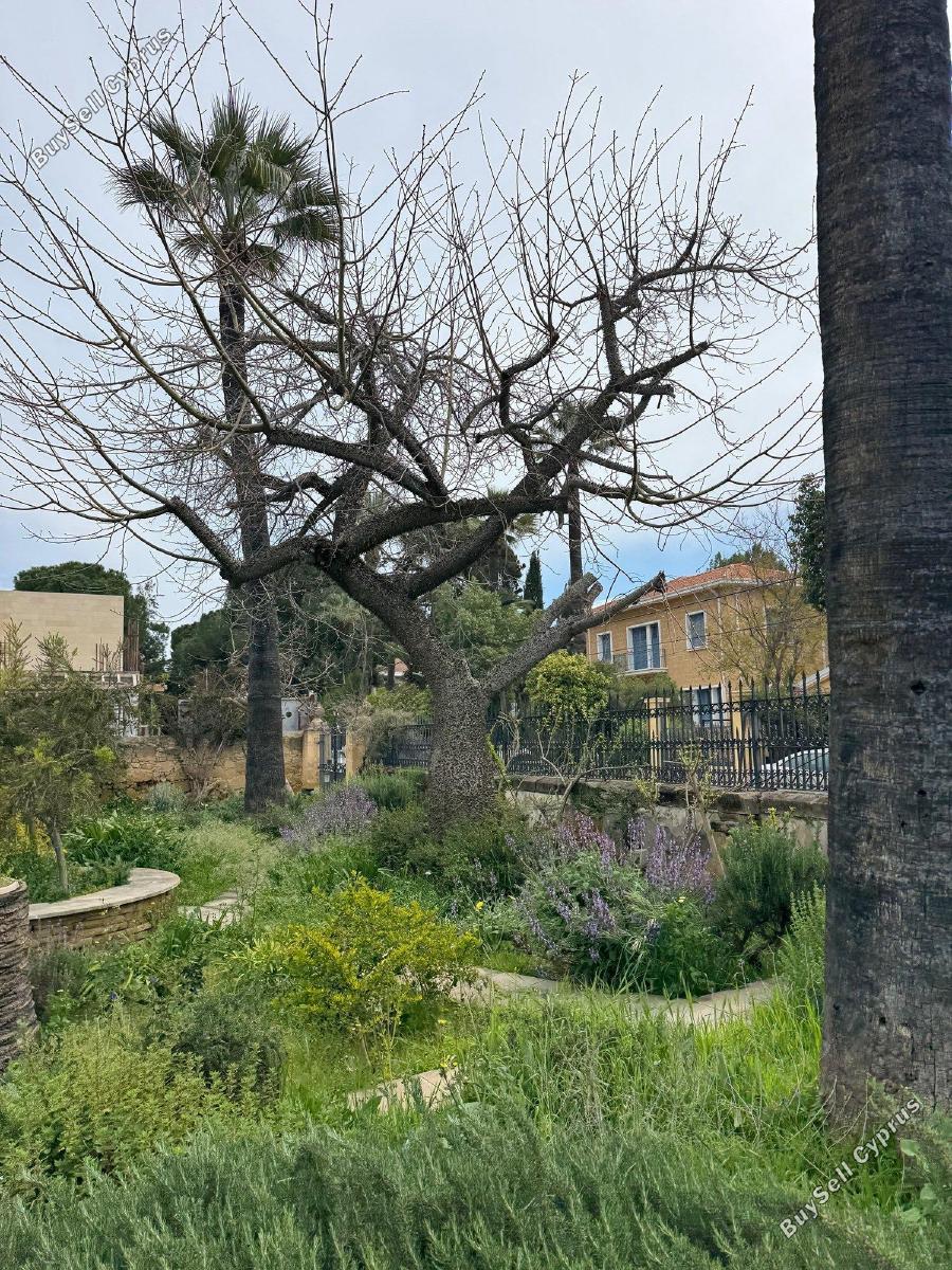 5 bedroom detached house for rent agios andreas nicosia nicosia 8597823 image 16793724