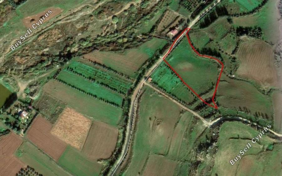 land for sale agia varvara paphos 1355823 image 16325793