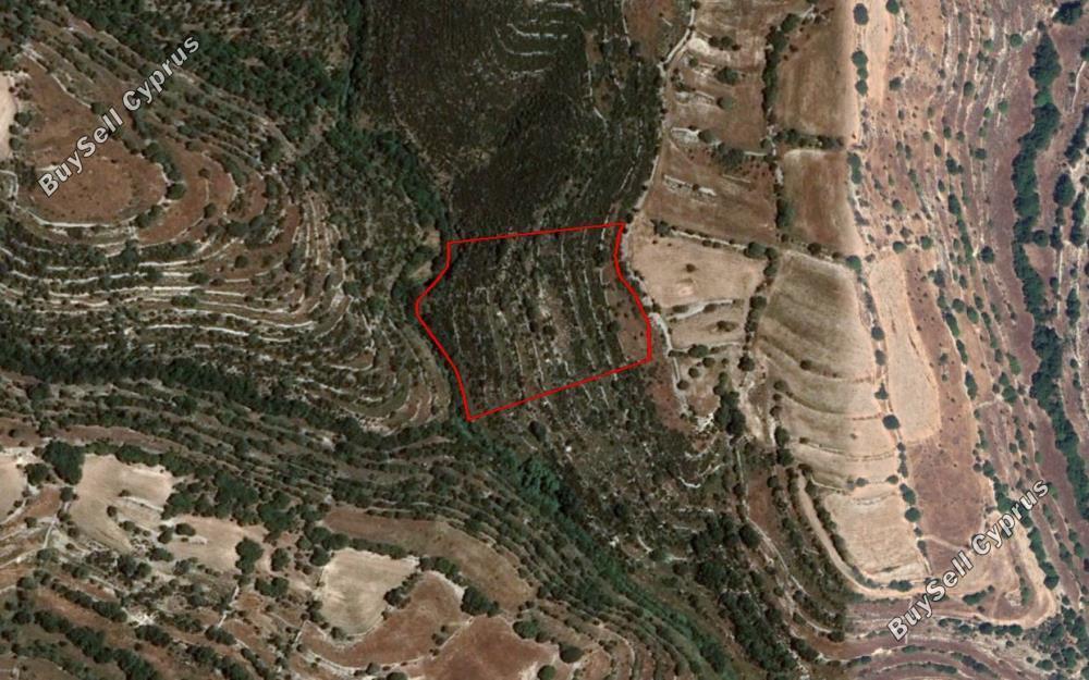 land for sale dora limassol 828823 image 6783911