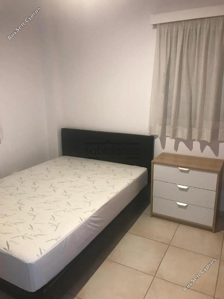 1 bedroom apartment for rent agios dometios nicosia 8739923 image 16376361