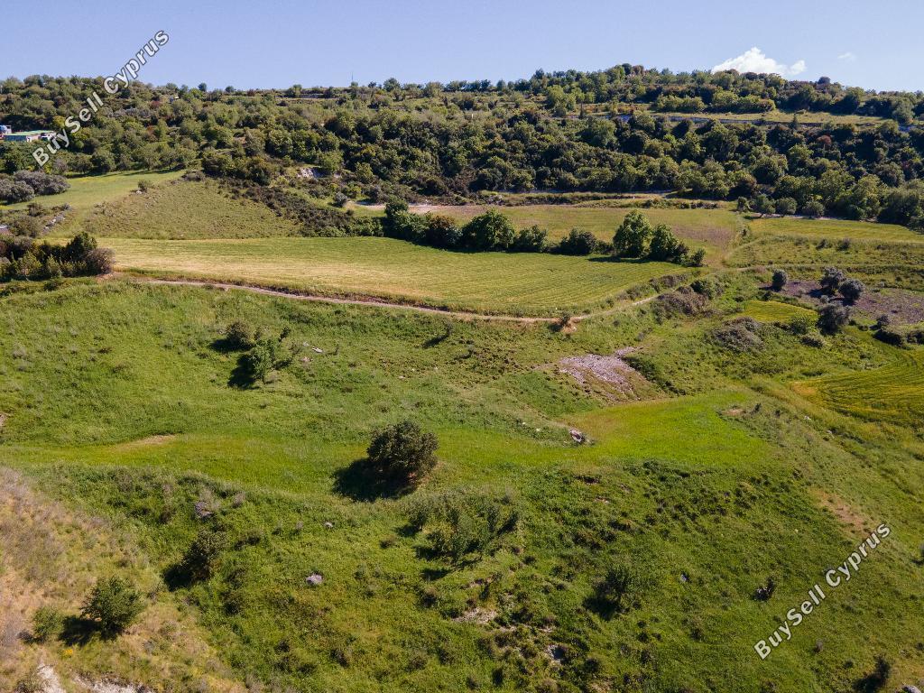 land for sale lasa paphos 945923 image 16992338