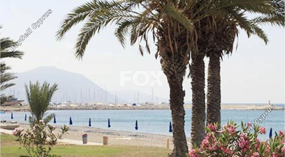 studio shop for sale prodromi paphos 1926923 image 10052130