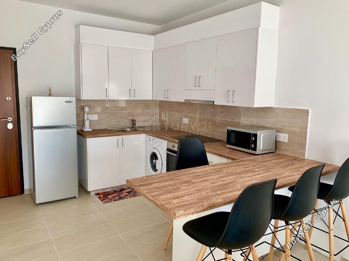 2 bedroom apartment for rent limassol municipality limassol 1236033 image 15929142