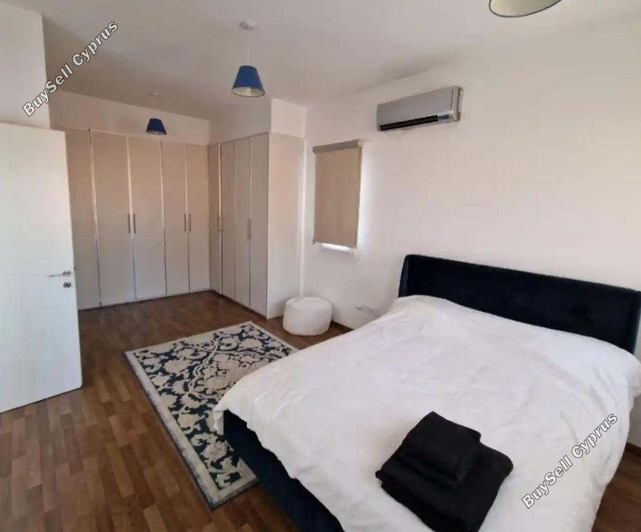 5 bedroom detached house for rent katholiki limassol 1568033 image 17252848