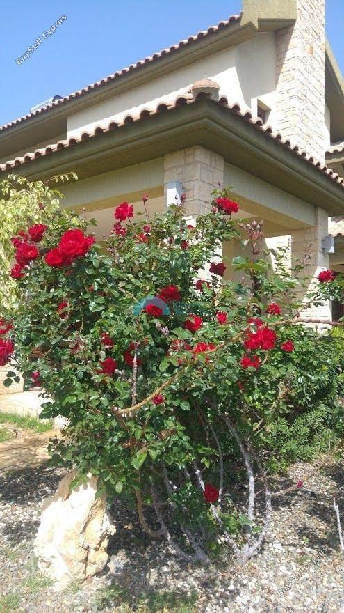 5 bedroom detached house for sale akrounta limassol 922033 image 15704685