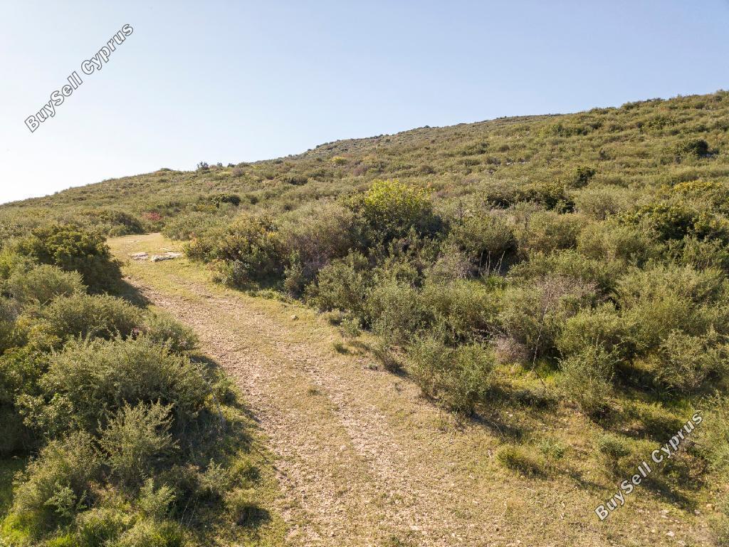 land for sale agios theodoros larnacas larnaca 1029033 image 15603183