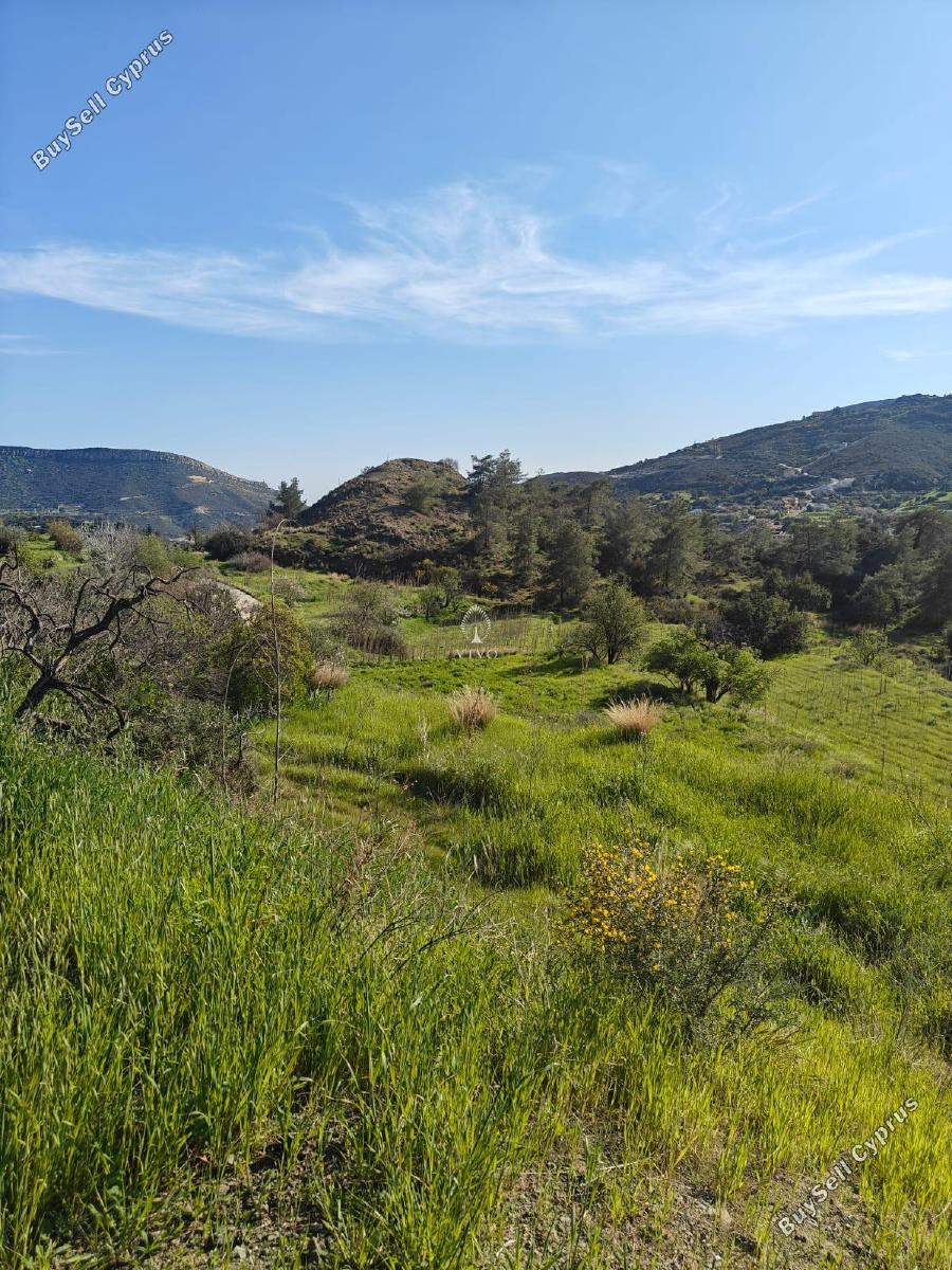 land for sale akrounta limassol 8339033 image 14358174