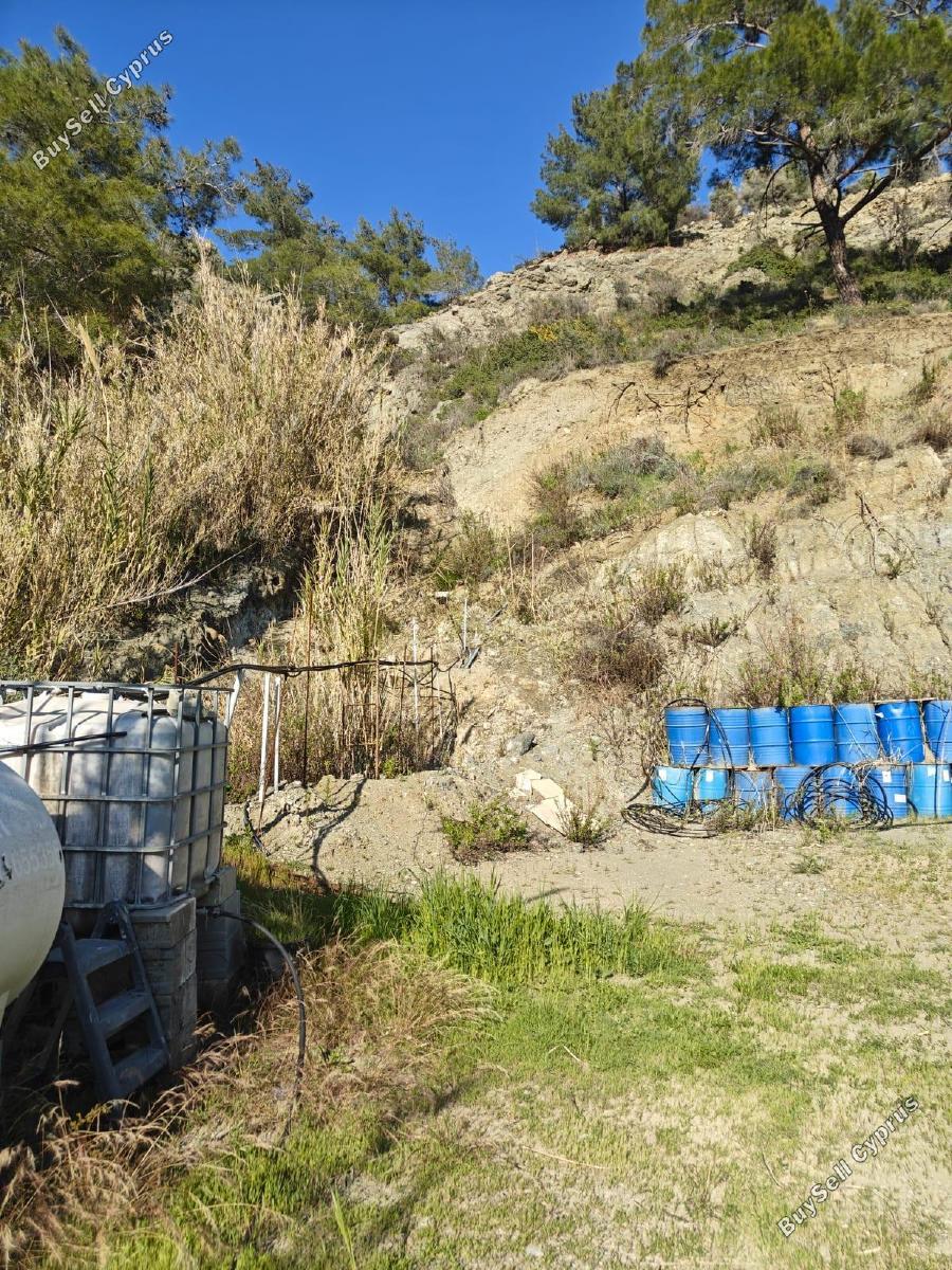 land for sale akrounta limassol 8339033 image 14358185