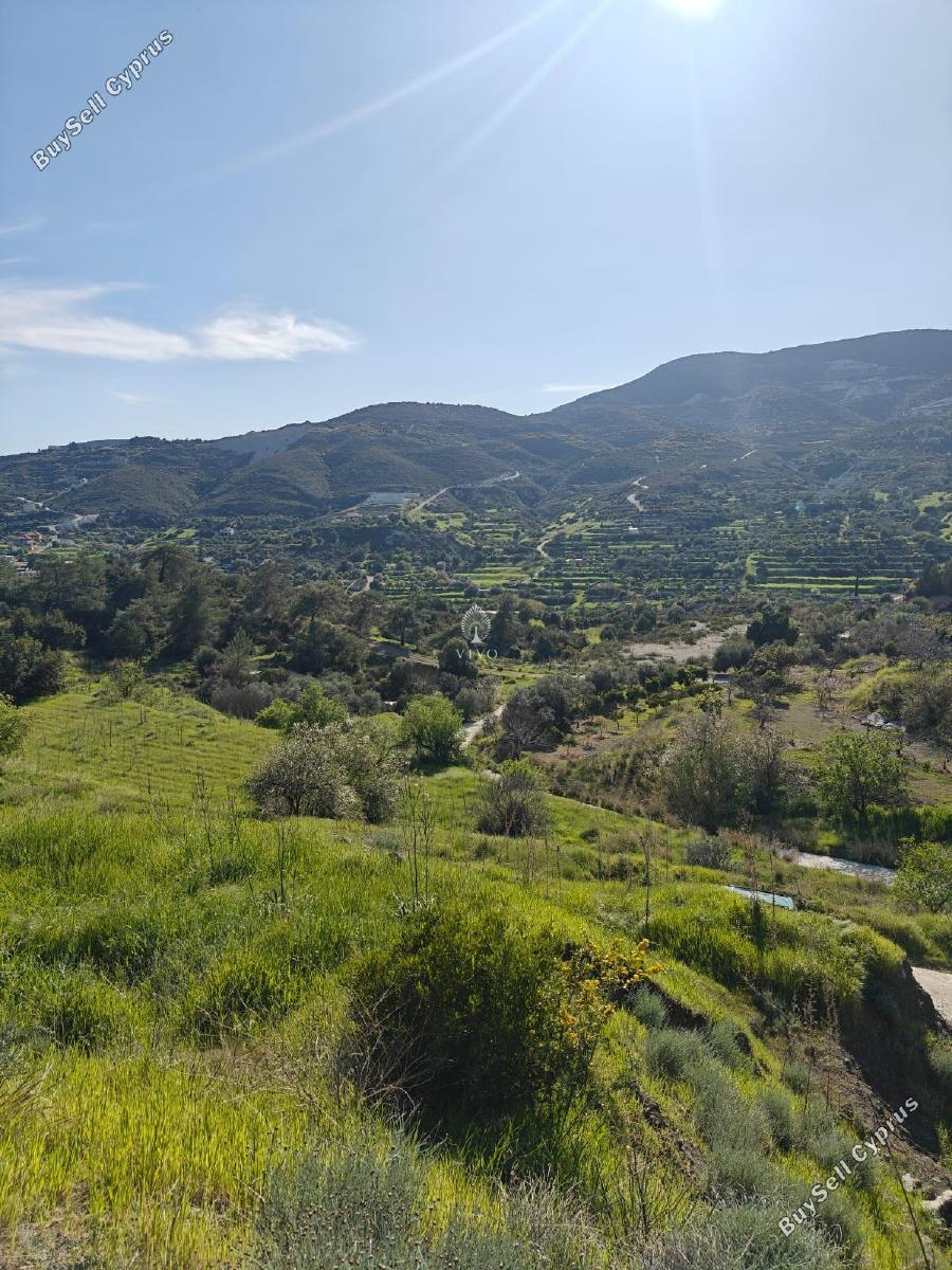 land for sale akrounta limassol 8339033 image 14358195